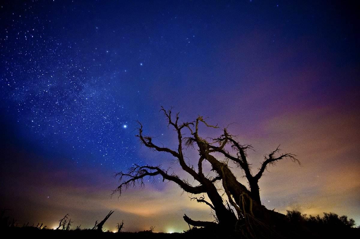 星辰大海剧照